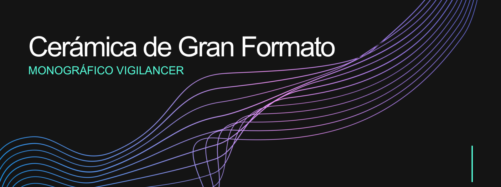 Portada web Vigilancer