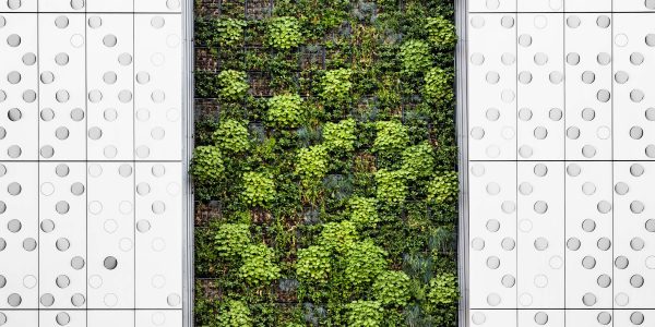 nbs sostenible naturaleza soluciones